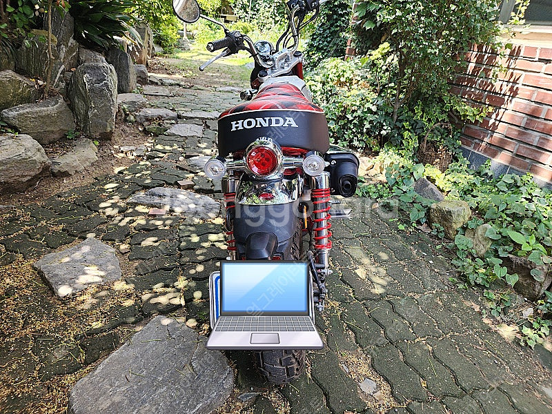 혼다 몽키 125cc(2022)--3