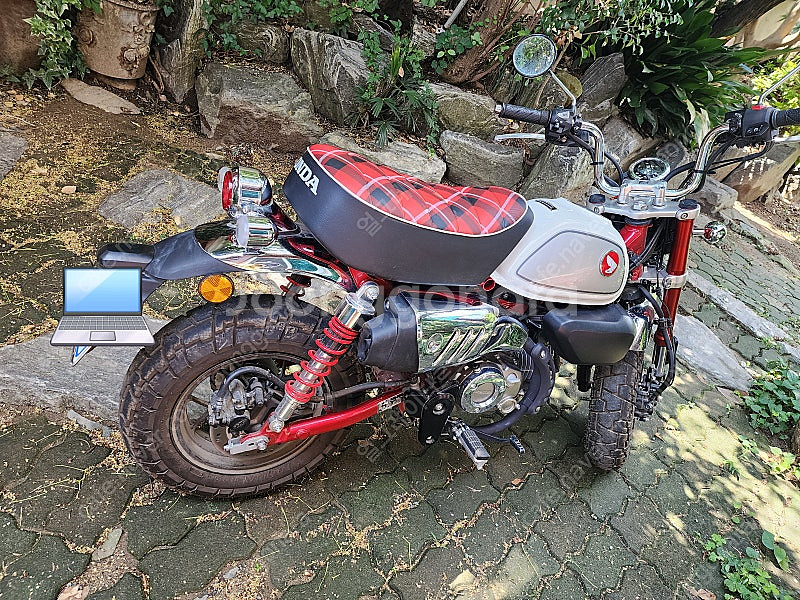 혼다 몽키 125cc(2022)--4