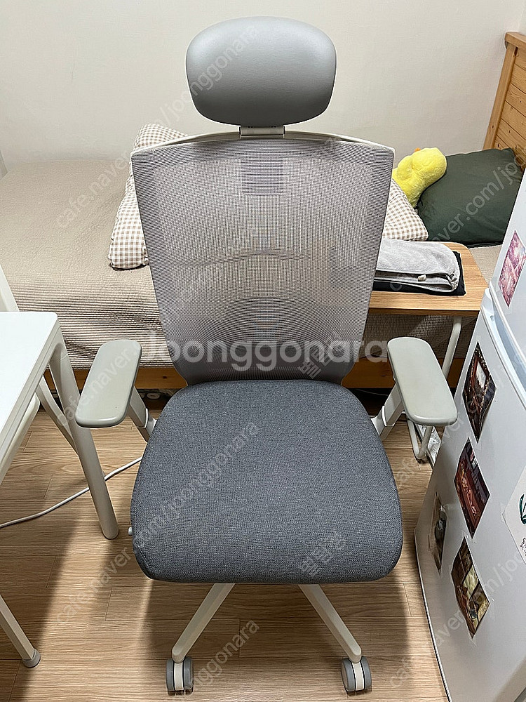 시디즈 T50 의자 풀옵션 (HLDA)--0