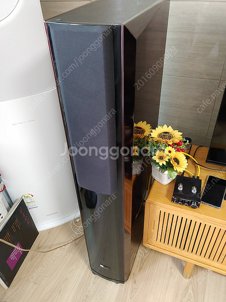퓨어 어쿠스틱 드림77 홈시어터 톨보이 스피커. 소니 ...--0