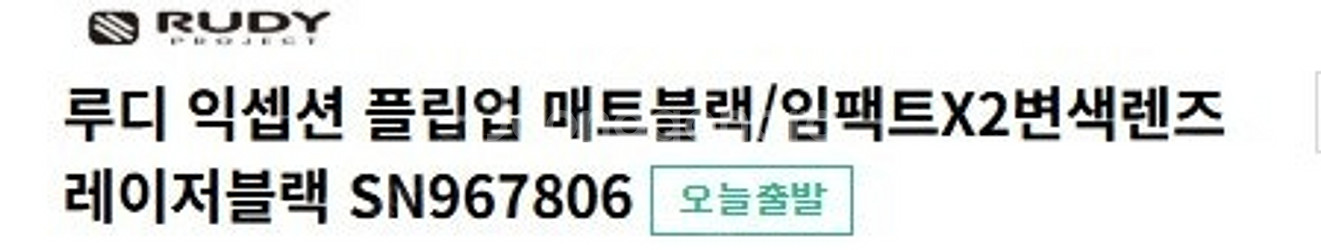 루디 익셉션 플립업 매트블랙/임팩트X2 변색렌즈 레이져...--0