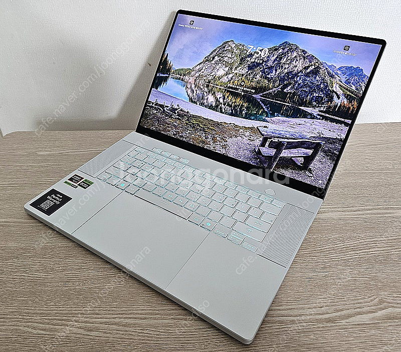 ASUS 제피러스 G16 2024 (G16 GA605W...--0