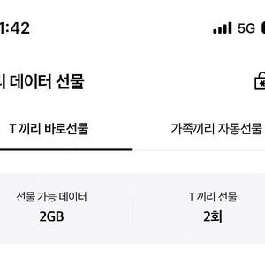 SKT 데이터 2GB