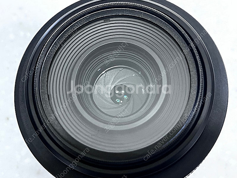 RF 35mm f1.8 macro 25년 4월 3일 정...--4