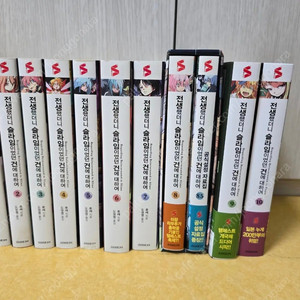 라노벨 정리합니다 (소드 아트 온라인, 스트라이크 더 블러드, 최후의 전장, 시원찮은 그녀, 청춘돼지 DVD 등)