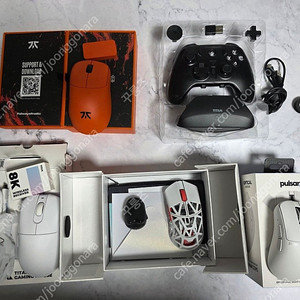 람주 쏜 프나틱에디션, 제닉스 TITAN GT 8K, WLMouse Beast X Mini, 펄사 Xlite V3 미니 게이밍 마우스