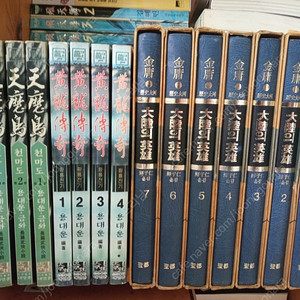 용대문, 의천도룡기, 태양의 탑(전민희)