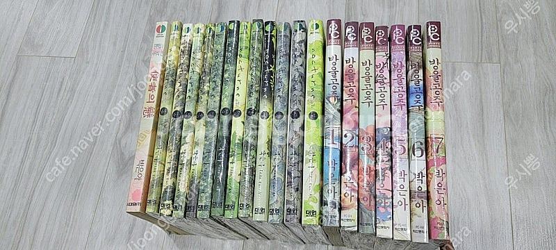 박은아 녹턴,방울공주,사자의연 일괄 택포 11.0--0