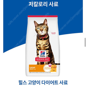 힐스 다이어트 어덜트 캣 고양이 사료