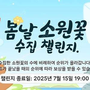 틱톡라이트 미접속 소원꽃 20개 팝니다