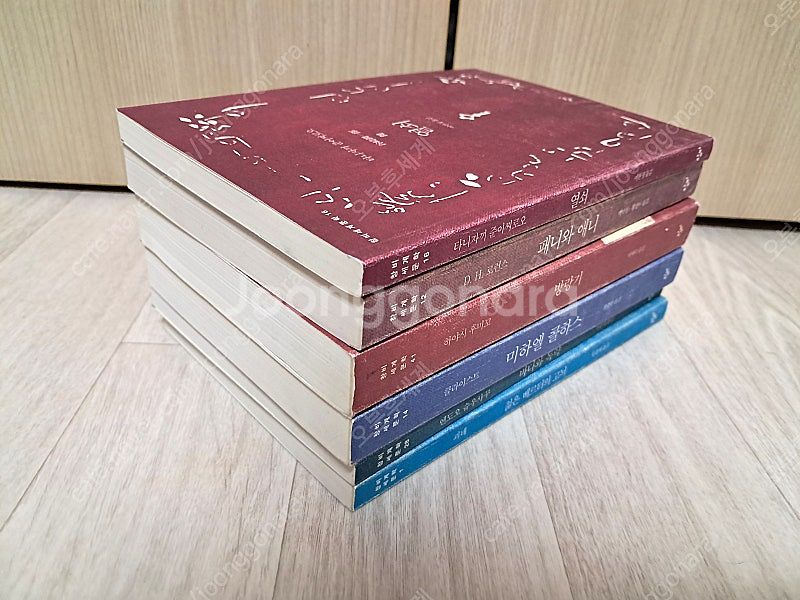 창비 세계문학 전집 6권--1