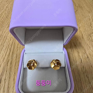 골든듀 리틀팬지1 귀걸이