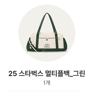 스타벅스 멀티플백 그린