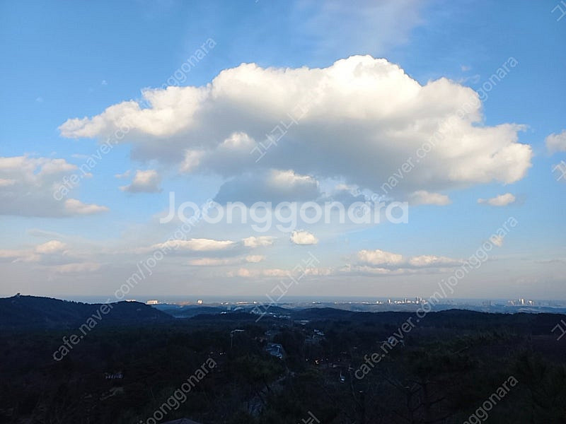 25년 산티니 그란폰도 져지 m ---> xl로 교환 ...--0