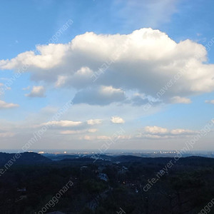 25년 산티니 그란폰도 져지 m ---> xl로 교환 원합니다