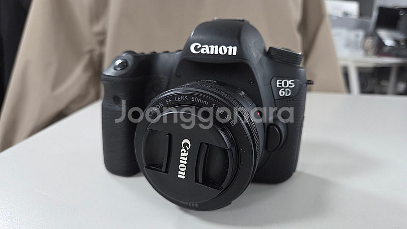 캐논 6D, 24-70 L, f 1.8 stm 50mm...--8