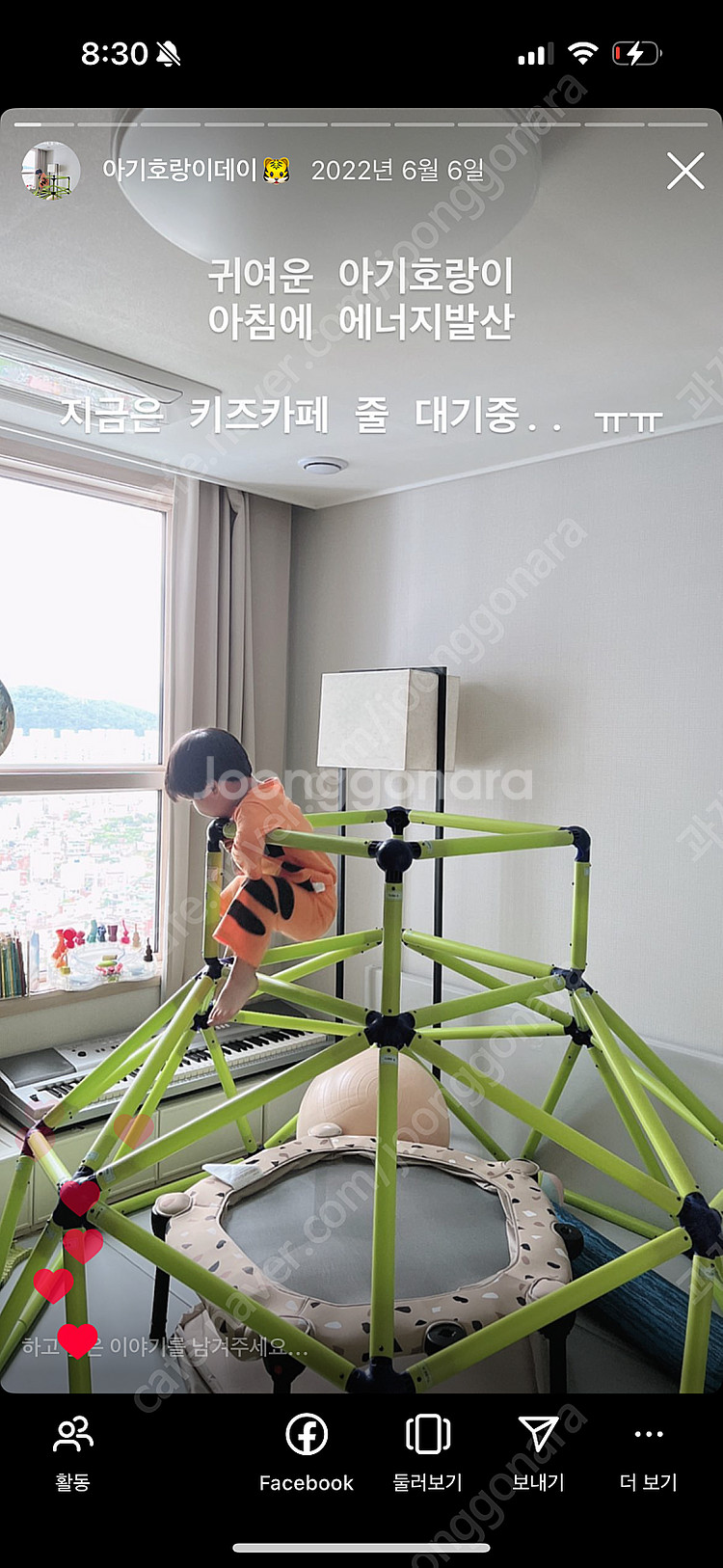 몽키돔--0
