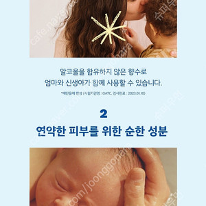 무스텔라향수