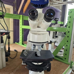 Zeiss Axioskop 2 Plus Microscope 형광현미경 / CCD카메라 포함 (AxioCam MRm)