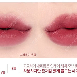 에스쁘아 꾸뛰르 립 틴트 벨벳 카민 모브 여쿨 겨쿨 봄웜 갈웜 뮤트 딥