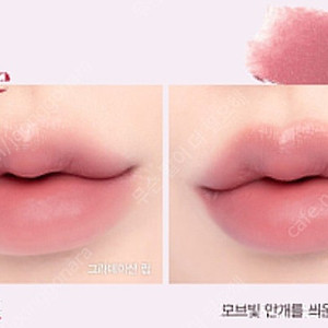 에스쁘아 꾸뛰르 립틴트 블러벨벳 6호 헤이즈 여쿨 겨쿨 봄웜 갈웜 틴트