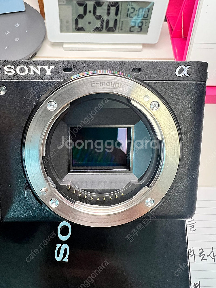 시그마 23mm F1.4 DC DN(E 마운트)--4