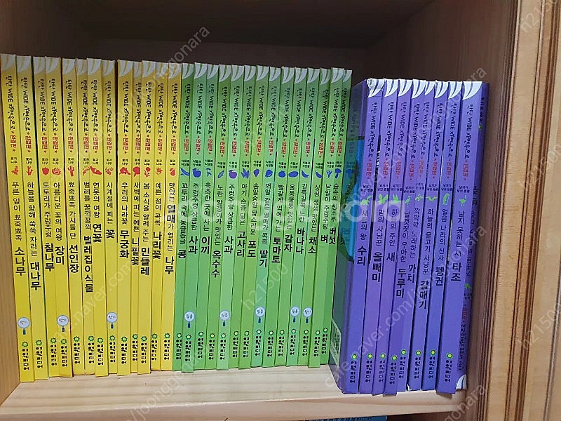 탄탄 와일드 자연속으로 완결판 100권--2