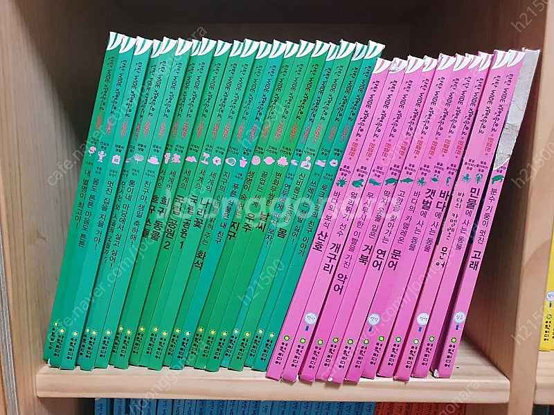 탄탄 와일드 자연속으로 완결판 100권--3