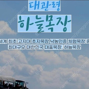 대관령 양떼목장 하늘목장 모바일 입장권 (주중/주말 당일! 모두 사용 가능!)