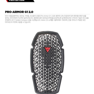 다이네즈 프로아머G1 등보호대및가슴보호대삽니다