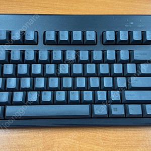 리얼포스 r3 균등 영문 30g