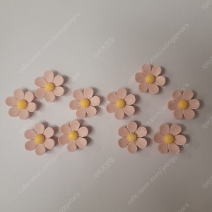 지비츠) 분홍데이지 세트 10P