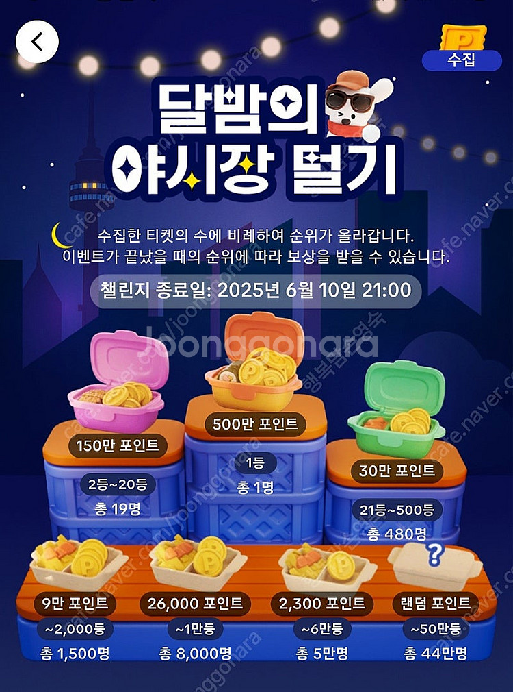 틱톡 야시장 소원꽃 미접속5개 팝니다--0