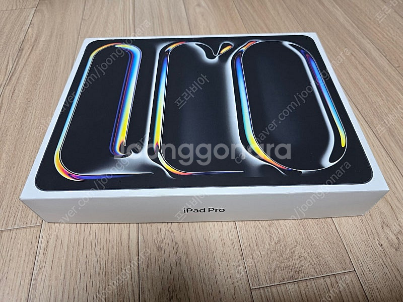 끝판왕 아이패드 Pro 13 M4 2TB 16GB RA...--0