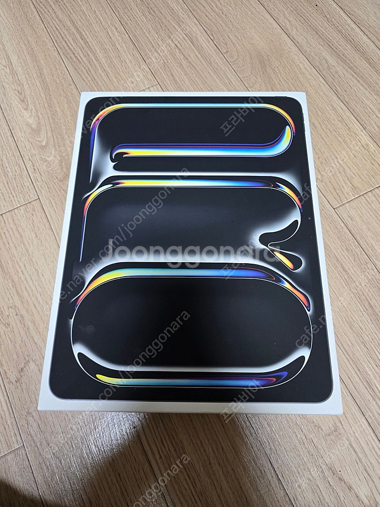 끝판왕 아이패드 Pro 13 M4 2TB 16GB RA...--1