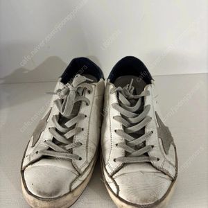 골든구스230
