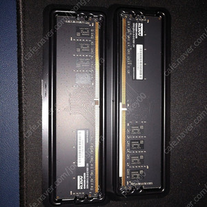 ESSENCORE KLEVV DDR4-3200 CL22 8g 2개