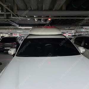 펠리세이드 코토루프박스