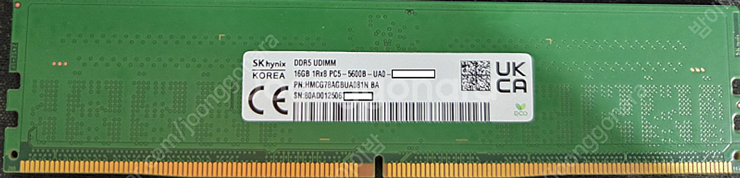 sk하이닉스 ddr5 16G 판매--0