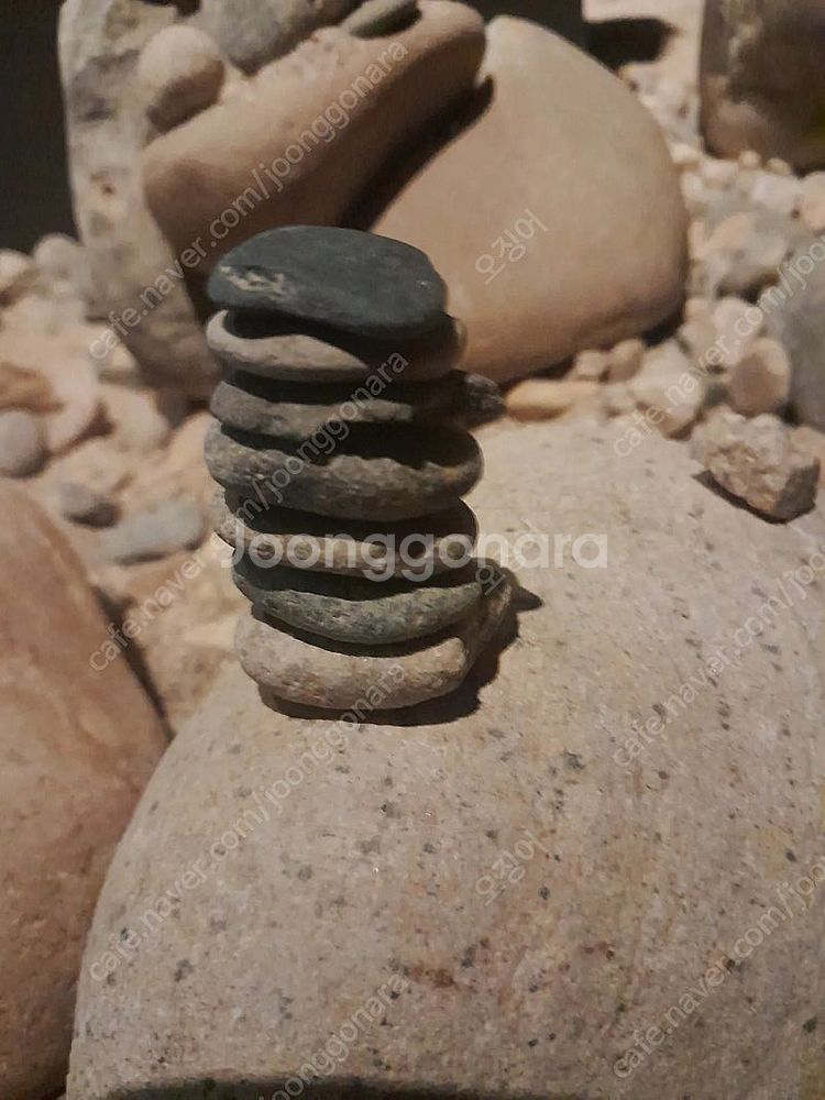 롯데백화점상품권10만원--0