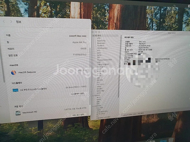 맥미니 2025 풀 업글 M4 pro ram64gb s...--3