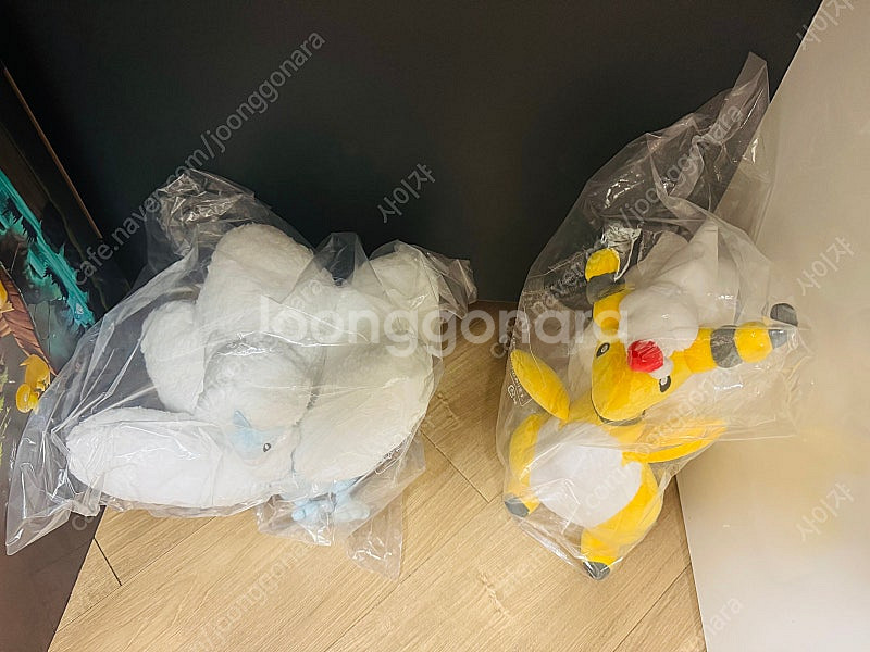 포켓몬센터 정품 미개봉 메가 포켓몬 인형 판매--1