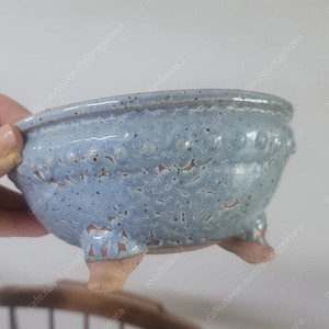 분재화분.천광분
