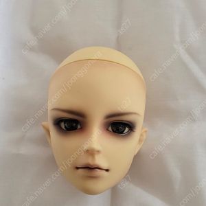 보크스 / SD17 / 히지카타 토시조 / 헤드
