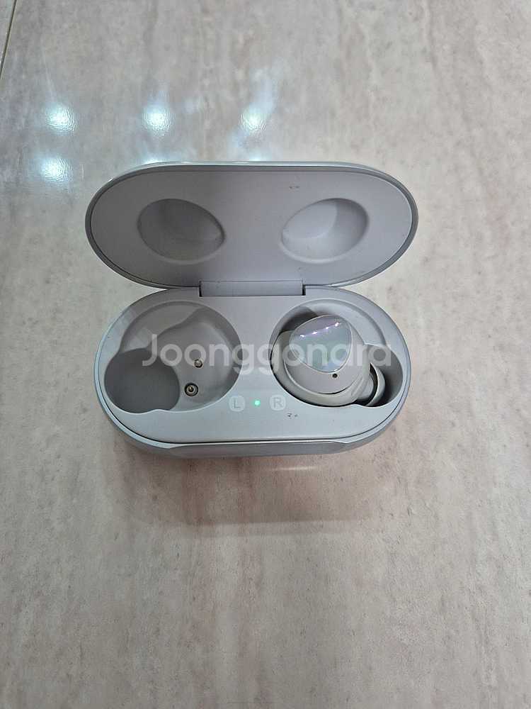 버즈 오로라 실버 색상--1