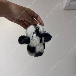 고다신 키링