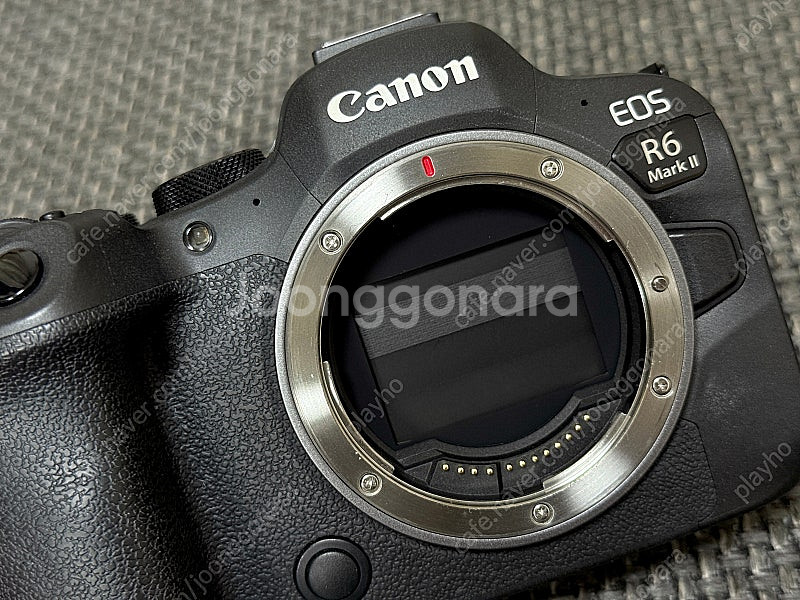 캐논 eos R6m2--5