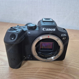 캐논 eos R7 18-150킷 판매합니다 (개별구매도 가능)