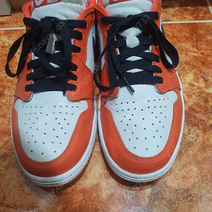 나이키 조던1 로우 스타피쉬 285