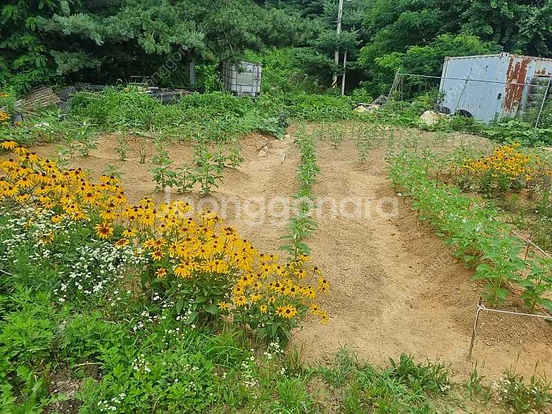 건설기계공구 및 화물차 통매매--6
